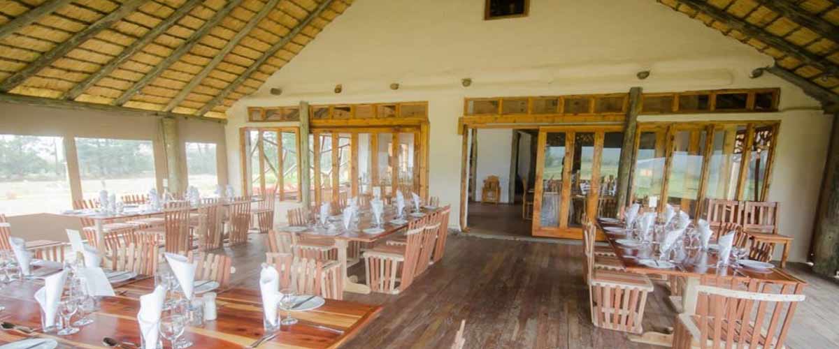 Antbear Eco Lodge — Drakensberg eco lodge photograph